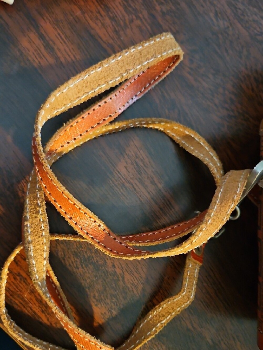 Hand-Painted Tan Leather Crossbody Bag with Turn-Lock Closure - Picture 5 of 5